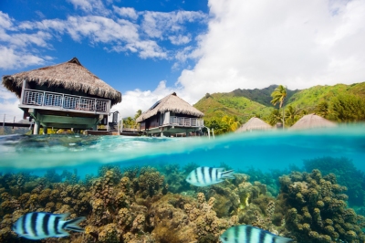 Unterwasserwelt direkt am Hotel auf Moorea (BlueOrange Studio / stock.adobe.com)  lizenziertes Stockfoto 
Información sobre la licencia en 'Verificación de las fuentes de la imagen'